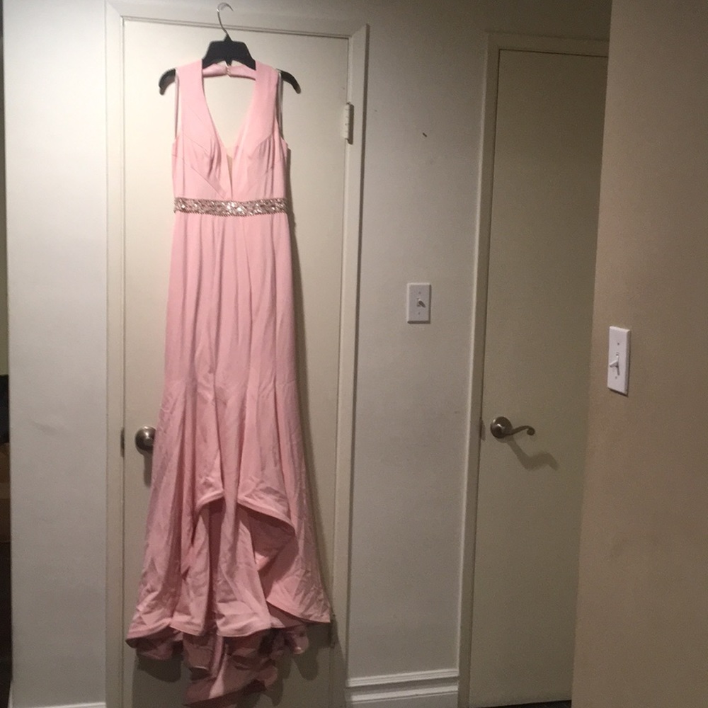 Pink Gown with train